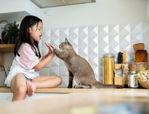 5 Common Myths About Child Safety Around Pets